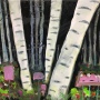 Painting Contemporary 